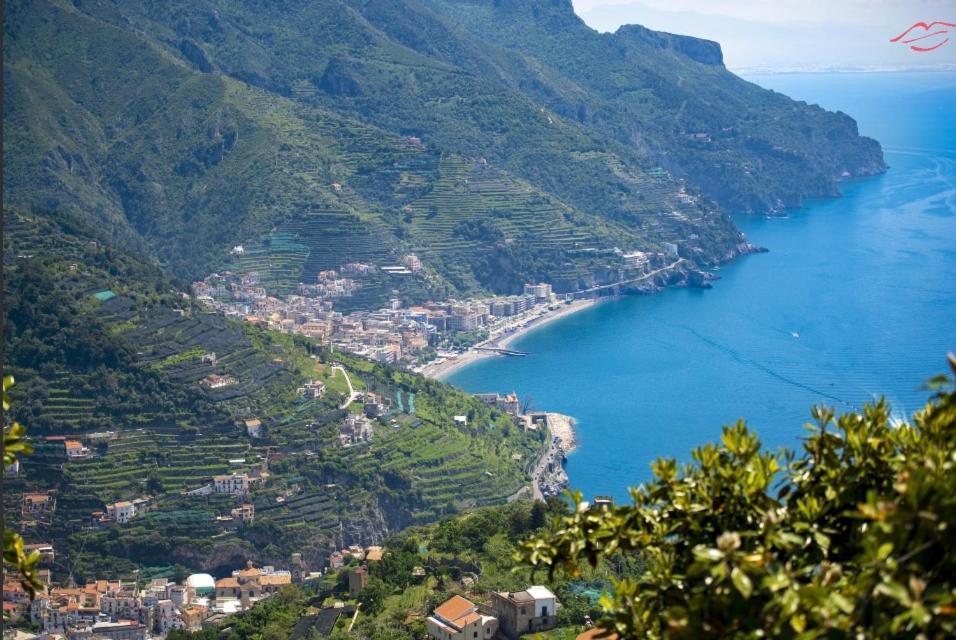Ravello Vingius Suite Eksteriør billede